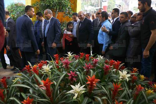 تصوير أحمد عبدالفتاح